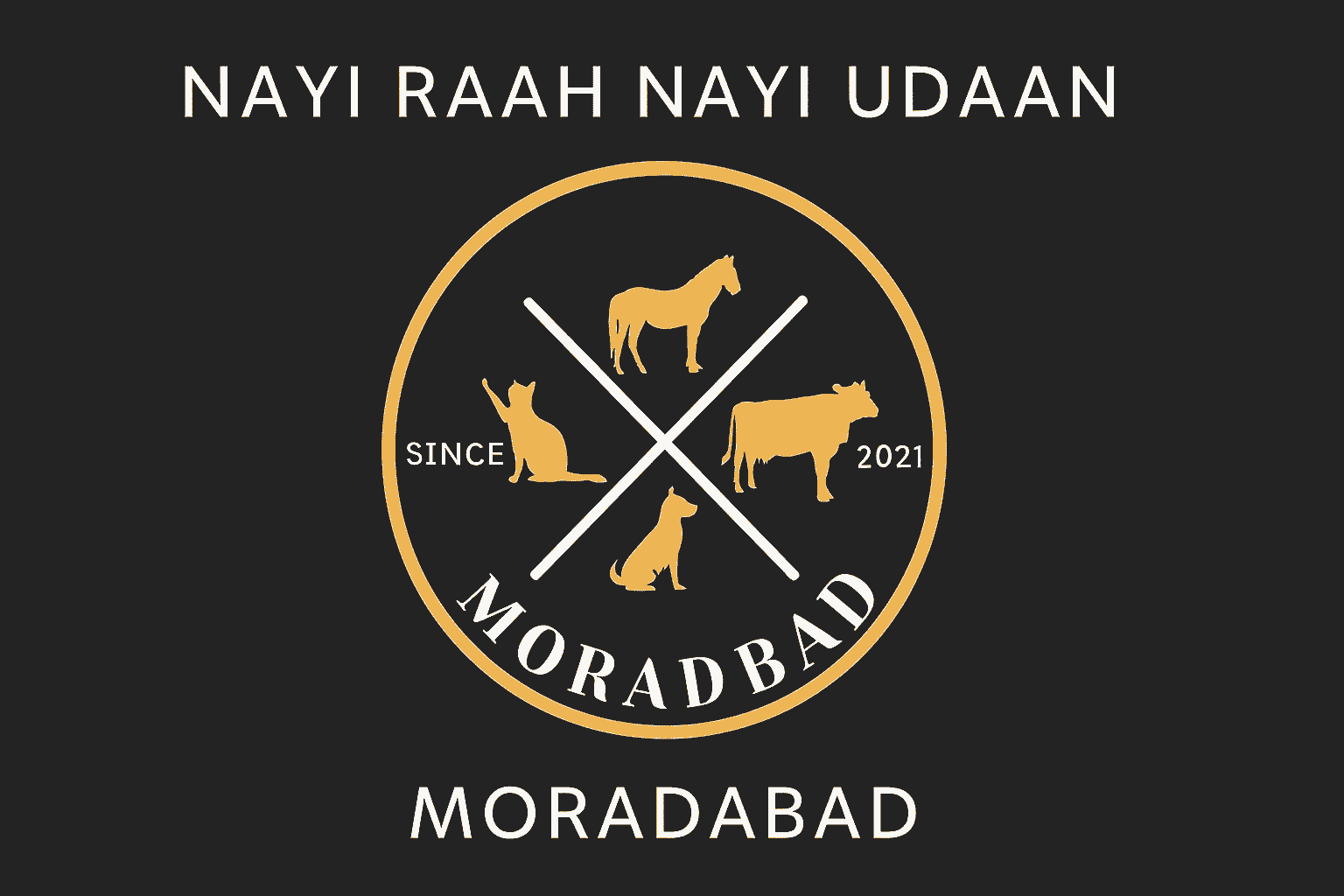Nayi Raah Nayi Udaan Logo